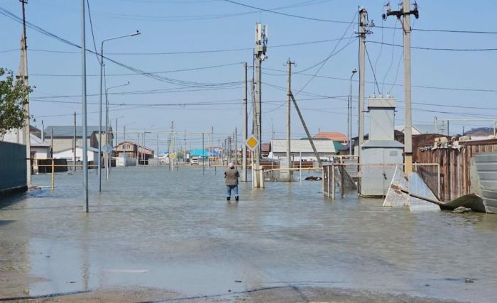 12 млрд тенге выделило правительство на компенсацию имущественных потерь бизнеса после паводков