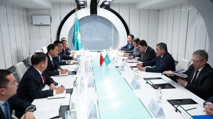 Китайские бизнесмены предложили Казахстану строительство новых водохранилищ 