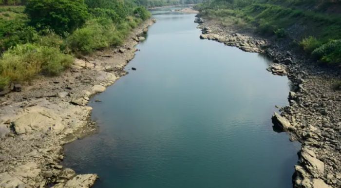 После паводка в Атырауской области высыхают водопои для скота