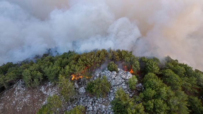 Казахстанцев не накажут за пожар на греческом острове