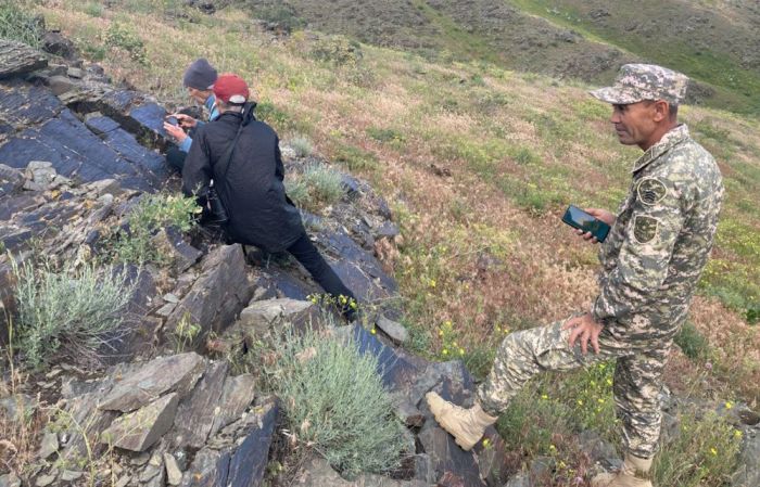 Казахстанские ученые создали базу данных древних пород собак