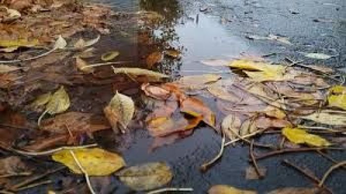 Осадки в виде дождя и снега: погода в ближайшие три дня 