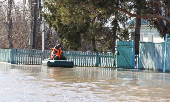 Дело Перизат Кайрат: будут ли проверять фонды ЗКО