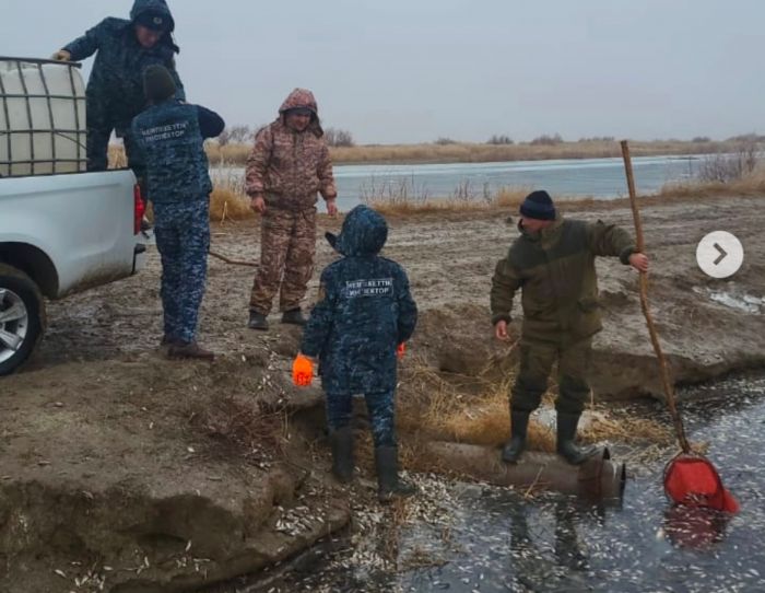 Установлена предварительная причина замора рыбы в Баксае