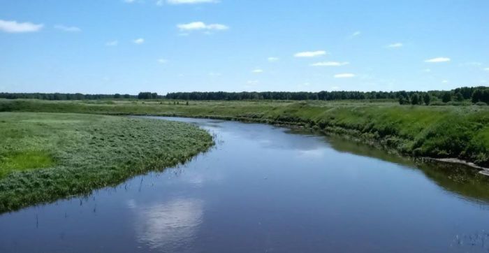 Новое водохранилище и каналы построят в Кызылординской области 