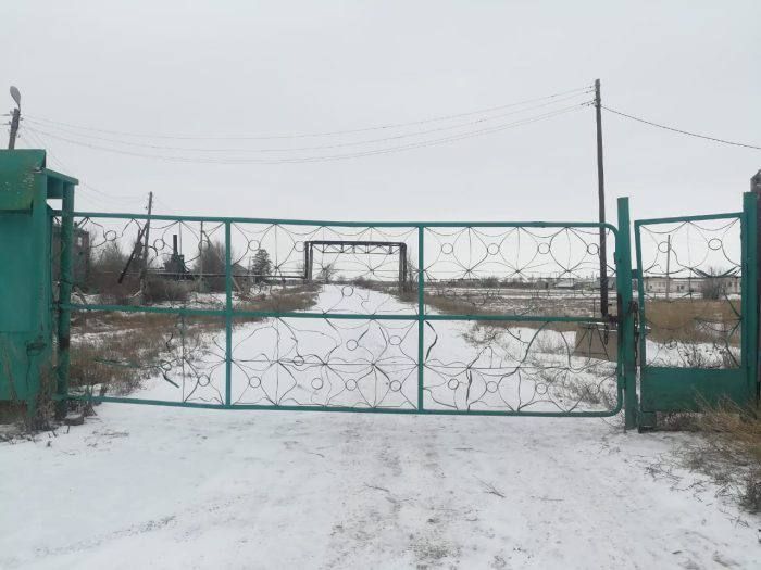 126 тысяч цыплят погибли от пастереллёза на птицефабрике в ЗКО 