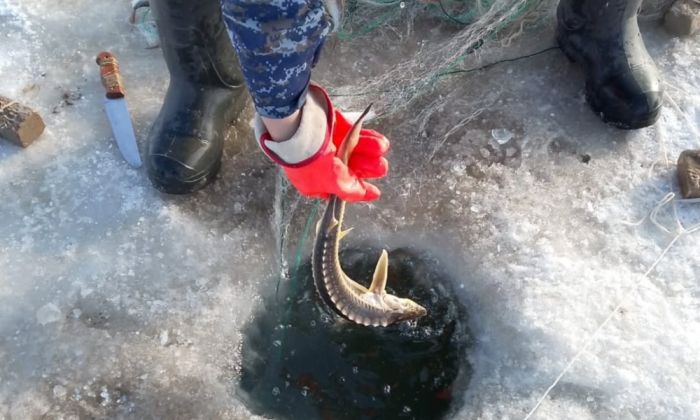 По следу браконьеров на квадроциклах