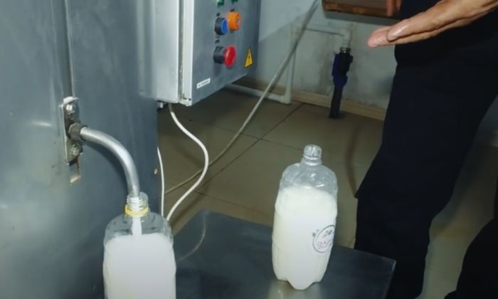 В 2024 году в Атырауской области произведено свыше 80 тысяч тонн мяса и молока