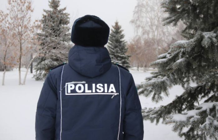 Семена сосны на 4,7 млн тенге похитили в Акмолинской области 