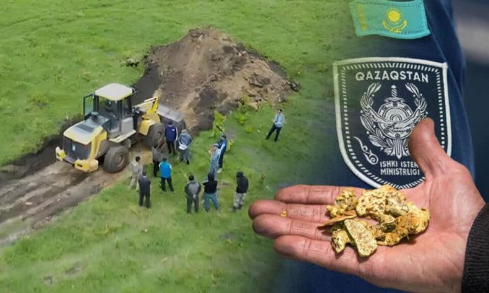 ​На пастбище в Костанайской области незаконно добывали золото