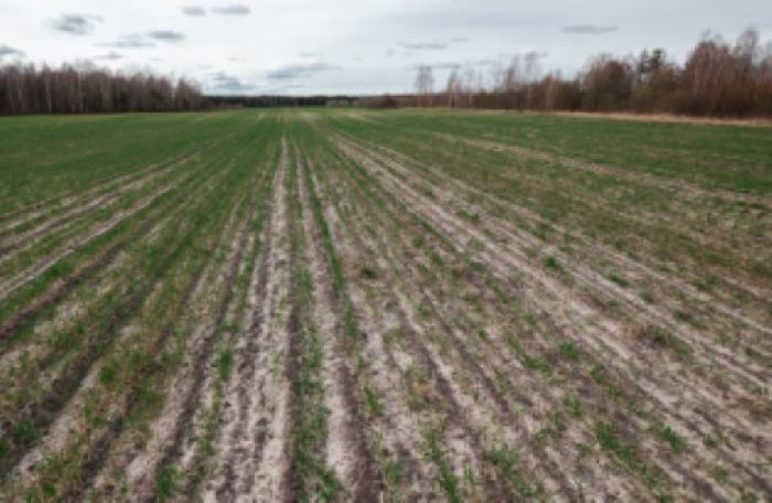 Площадь посевов сельхозкультур увеличат на 518 тыс. га