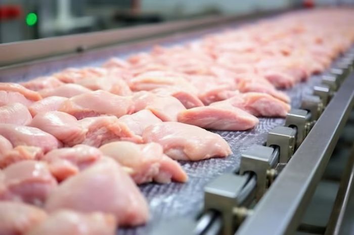 В России нашли опасную бактерию в курице из Казахстана: Минсельхоз провёл анализ