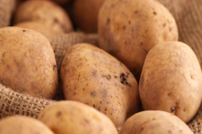 Растущие цены на картофель прокомментировал глава МСХ