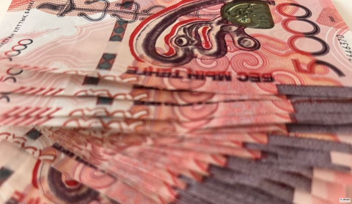 Средняя или медианная? Какую зарплату получают казахстанцы, спросили у Тамары Дуйсеновой