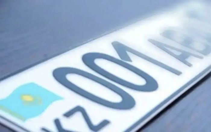 Павлодарцы потратили около 400 млн тенге на покупку VIP номеров