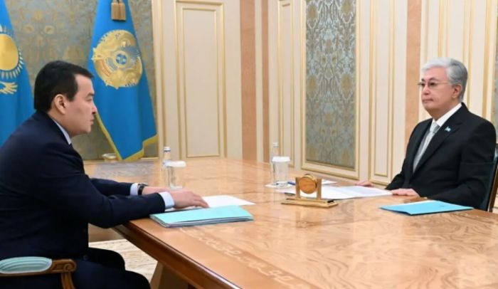 Алихан Смаилов доложил Токаеву об аудиторских проверках акиматов и нацкомпаний