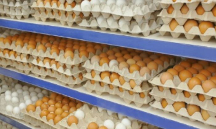 В Казахстане подписан меморандум о стабилизации цен на яйца