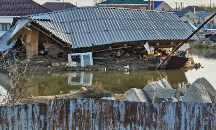 Аграриям компенсируют потери от паводков 2024 года: утверждены правила