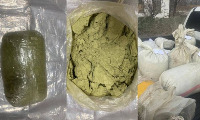 Полиция пресекла крупную сеть поставок наркотиков в Жамбылской области