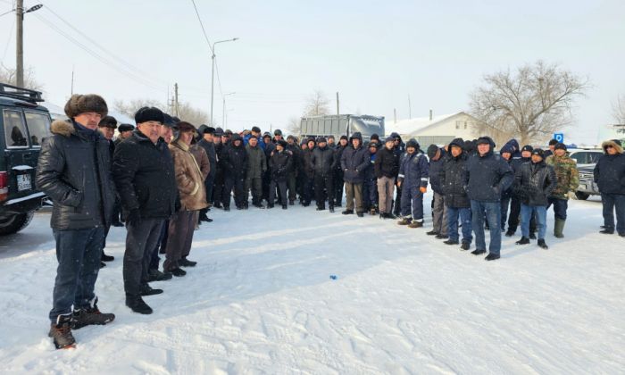 Кто стоит за кражей скота в Коктогае? Местные жители требуют расследования