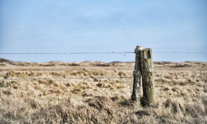 Оружие, наркотики и браконьеры: как в феврале охраняли границы Казахстана