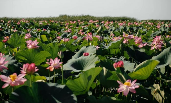 В Атырауской области откроют новые туристические маршруты