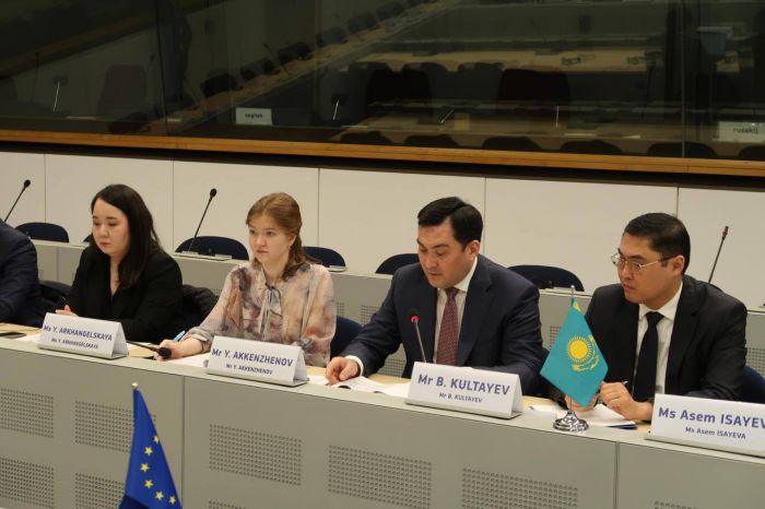 Казахстан и Европейский союз обсудили сотрудничество в сфере энергетики и климатических инициатив