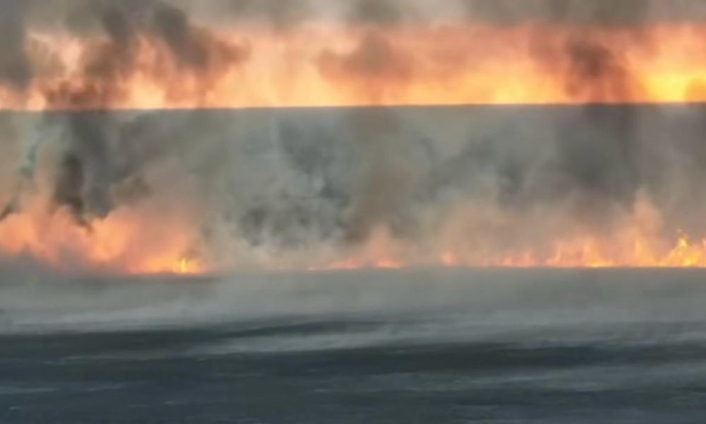 Возгорания камыша на побережье Каспийского моря. Стоп-кадр с видео