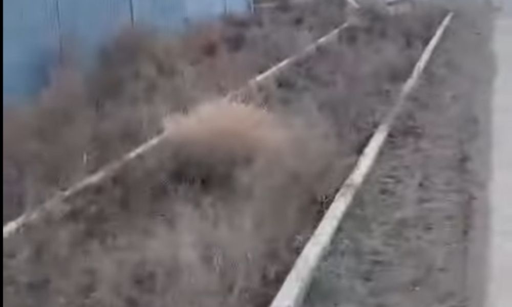 На ул. Шманова в мкр. Атырау строительство тротуара было начато ещё летом прошлого года: установили бордюры, но на этом всё и остановилось На ул. Шманова в мкр. Атырау строительство тротуара было начато ещё летом прошлого года: установили бордюры, но на этом всё и остановилось