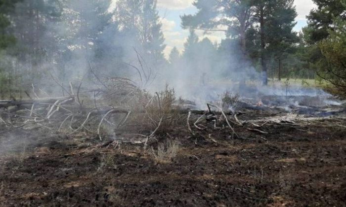 Свыше 26 млрд тенге выделят лесхозам на обновление пожарной техники