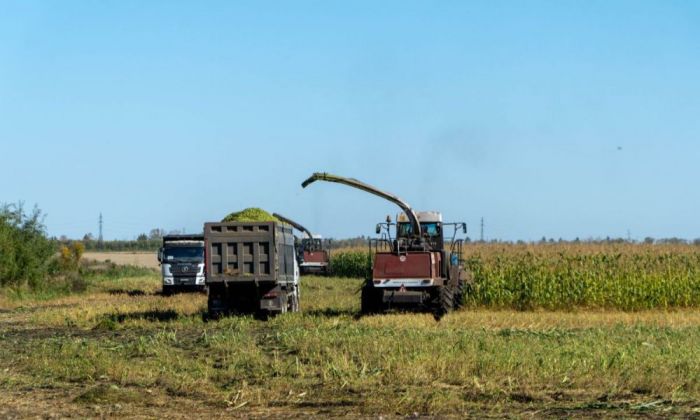 Фермеры уходят: в Казахстане сокращается число крестьянских хозяйств