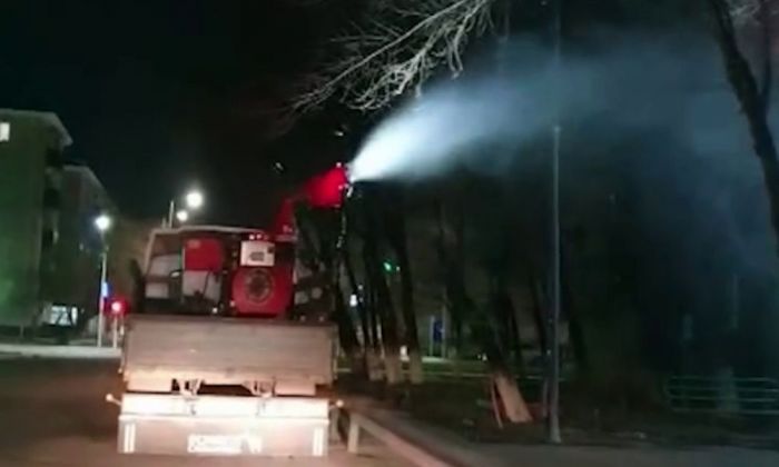 В Атырау началась ночная обработка деревьев от вредителей
