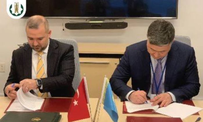 Тенге и лира: без доллара, но по делу