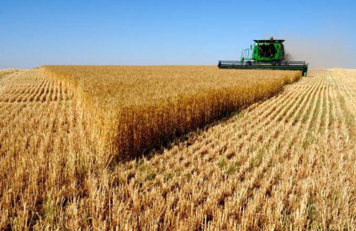 Казахстан не будет передавать земли Китаю