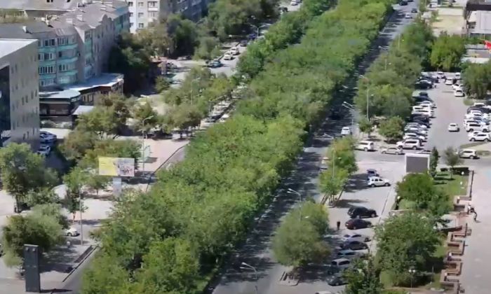 В этом году в городе Атырау планируется посадить 50 тысяч деревьев