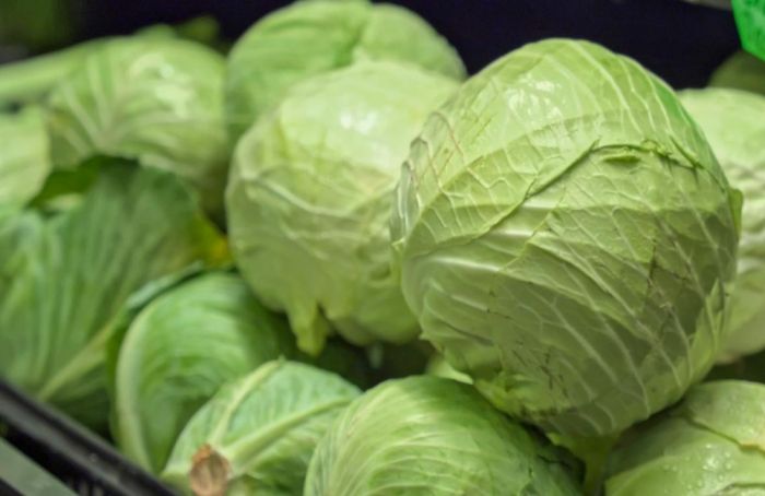 На границе Казахстана открывают «зелёный коридор» для ранних овощей