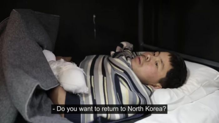 В Курской области погибли 600 солдат из КНДР, заявляют в Сеуле