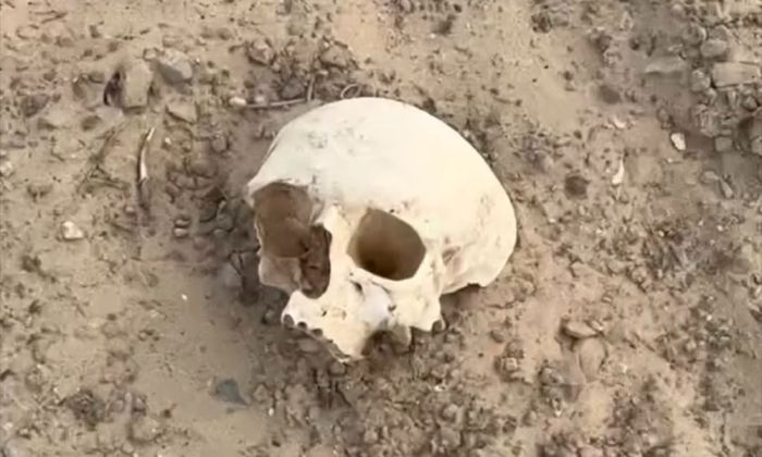 В Жылыойском районе найдены человеческие останки