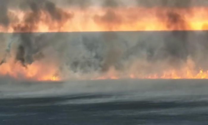 Пожар под Атырау охватил почти 500 гектаров