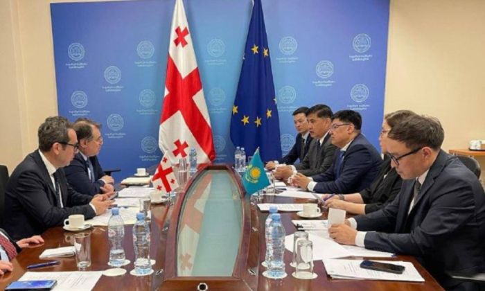 Грузия пообещала снизить количество отказов во въезде для казахстанцев