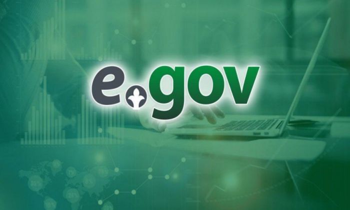 eGov и другие госуслуги будут временно недоступны 17 мая ночью