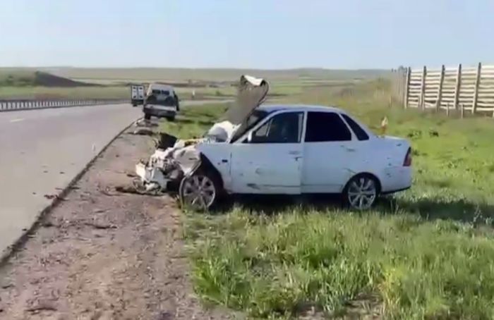 Машина всмятку, животные погибли: на трассе под Карагандой стадо сайгаков стало причиной аварии