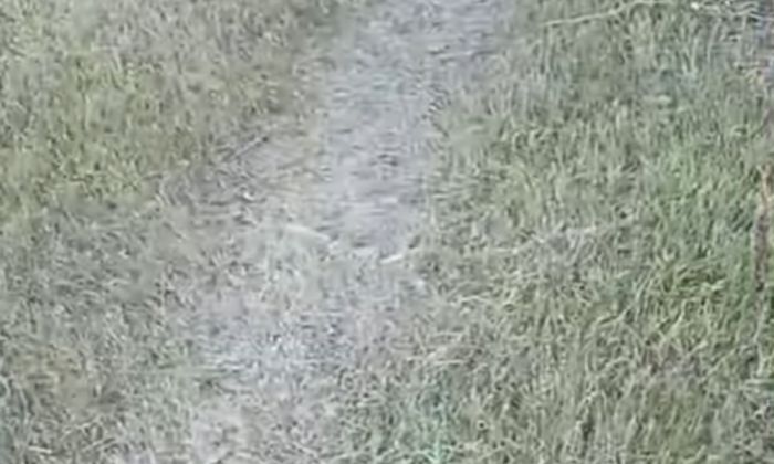 «Тротуары строятся, а вы пока топчите газоны»