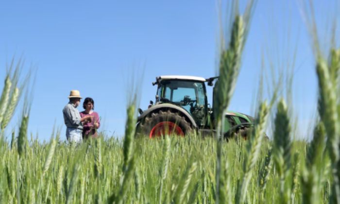 Атырауская область готовится к масштабной сельскохозяйственной переписи