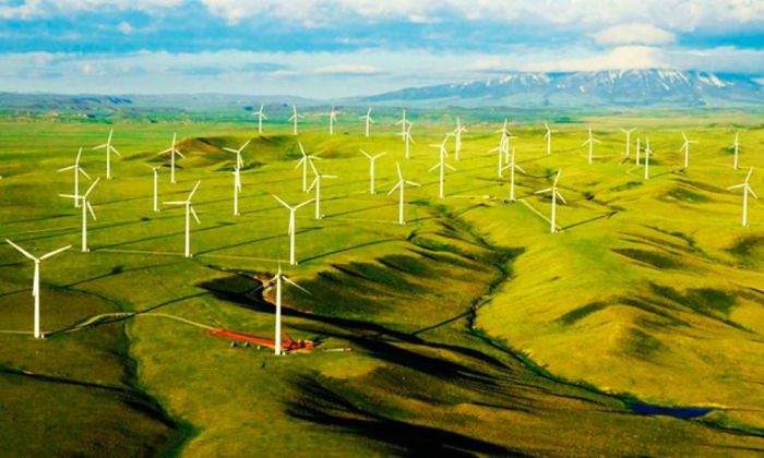 Казахстан и ОАЭ обсудили строительство ветряной электростанции мощностью 1 ГВт