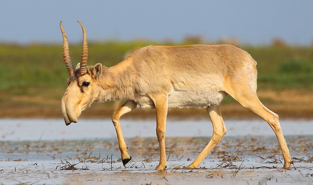 фото из архива АЖ