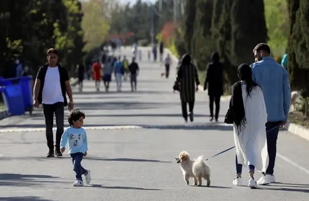 выгул собак в Тегеране, март 2021 года/фото iranintl.com выгул собак в Тегеране, март 2021 года/фото iranintl.com