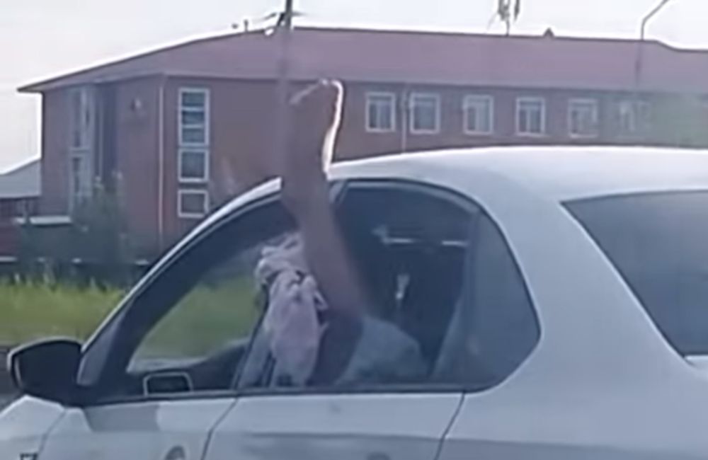 скриншот видео