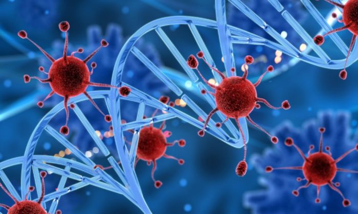 Учёные на пороге полного излечения от ВИЧ: революционный метод из Австралии