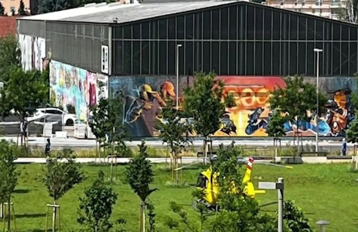 Девять человек погибли при стрельбе в школе в австрийском Граце